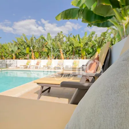 Bio With Pool * プラヤ・パライソ