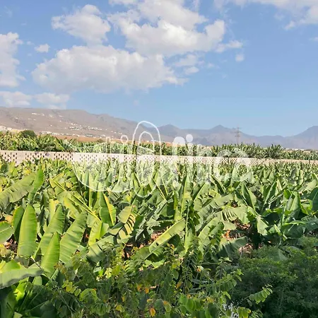 Bio With Pool ヴィラ プラヤ・パライソ