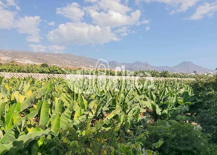 Bio With Pool Villa Playa Paraiso